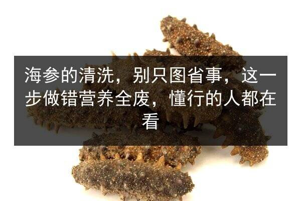 海参的清洗，别只图省事，这一步做错营养全废，懂行的人都在看