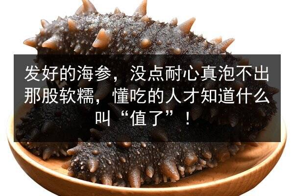 发好的海参,没点耐心真泡不出那股软糯,懂吃的人才知道什么叫“值了”!