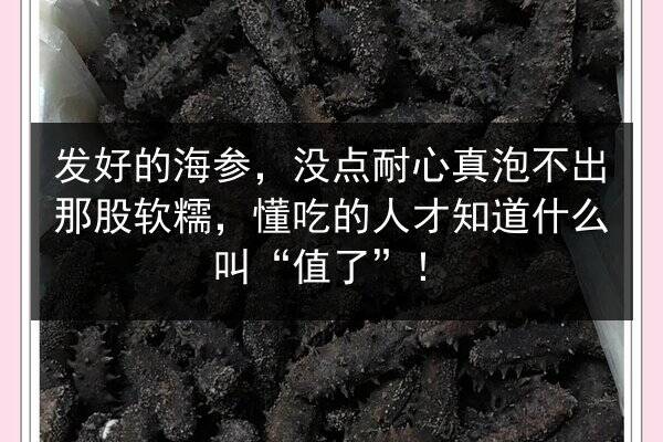 发好的海参,没点耐心真泡不出那股软糯,懂吃的人才知道什么叫“值了”!