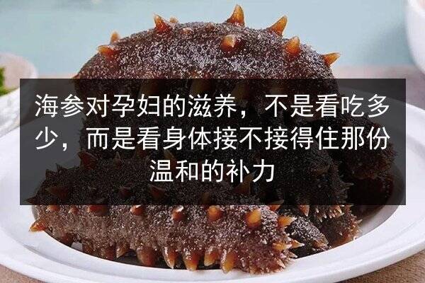 海参对孕妇的滋养，不是看吃多少，而是看身体接不接得住那份温和的补力