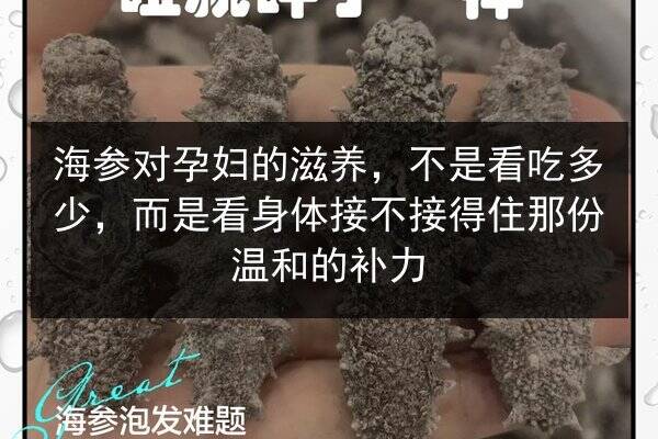 海参对孕妇的滋养，不是看吃多少，而是看身体接不接得住那份温和的补力