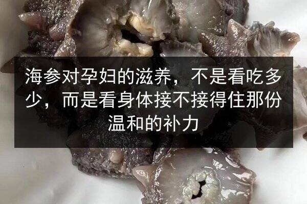海参对孕妇的滋养，不是看吃多少，而是看身体接不接得住那份温和的补力