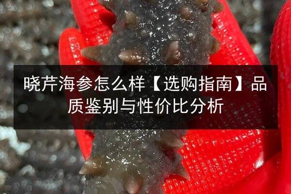 晓芹海参怎么样【选购指南】品质鉴别与性价比分析