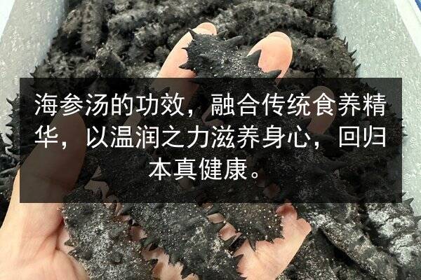 海参汤的功效,融合传统食养精华,以温润之力滋养身心,回归本真健康。