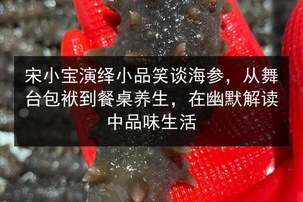 宋小宝演绎小品笑谈海参,从舞台包袱到餐桌养生,在幽默解读中品味生活