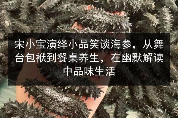 宋小宝演绎小品笑谈海参,从舞台包袱到餐桌养生,在幽默解读中品味生活