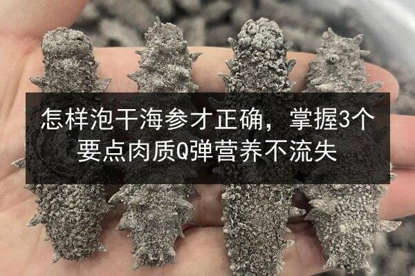 怎样泡干海参才正确,掌握3个要点肉质Q弹营养不流失