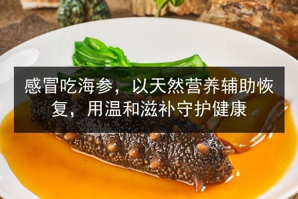 感冒吃海参，以天然营养辅助恢复，用温和滋补守护健康