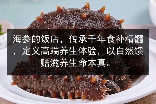 海参的饭店,传承千年食补精髓,定义高端养生体验,以自然馈赠滋养生命本真。