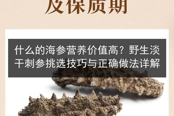 什么的海参营养价值高？野生淡干刺参挑选技巧与正确做法详解