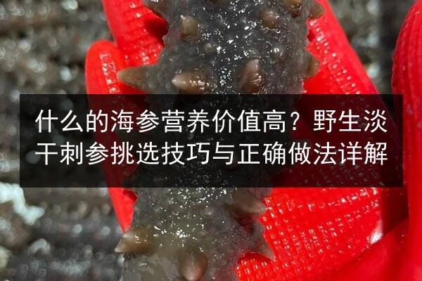 什么的海参营养价值高？野生淡干刺参挑选技巧与正确做法详解
