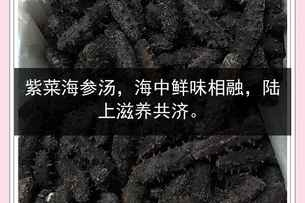 紫菜海参汤，海中鲜味相融，陆上滋养共济。