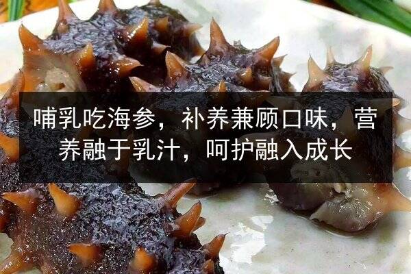 哺乳吃海参,补养兼顾口味,营养融于乳汁,呵护融入成长