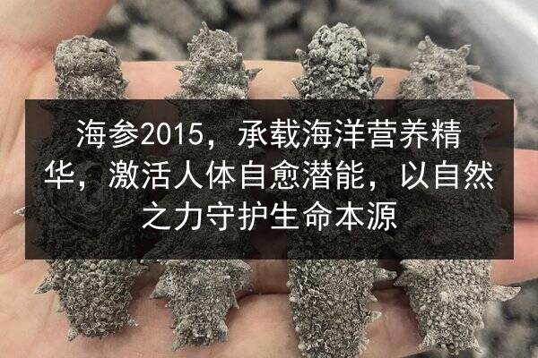海参2015，承载海洋营养精华，激活人体自愈潜能，以自然之力守护生命本源