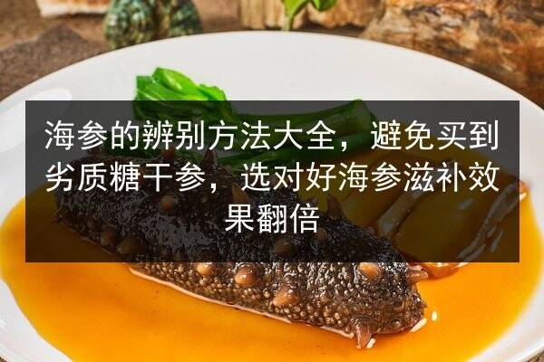 海参的辨别方法大全,避免买到劣质糖干参,选对好海参滋补效果翻倍