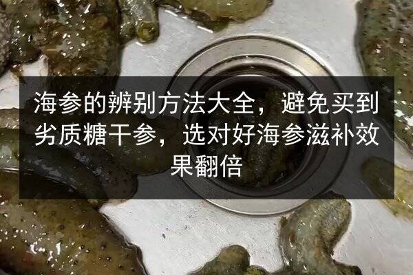 海参的辨别方法大全,避免买到劣质糖干参,选对好海参滋补效果翻倍
