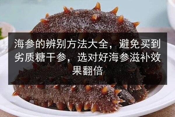海参的辨别方法大全,避免买到劣质糖干参,选对好海参滋补效果翻倍