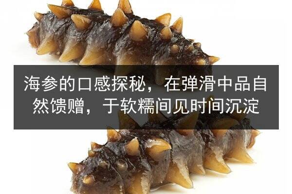 海参的口感探秘，在弹滑中品自然馈赠，于软糯间见时间沉淀
