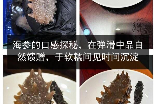 海参的口感探秘，在弹滑中品自然馈赠，于软糯间见时间沉淀