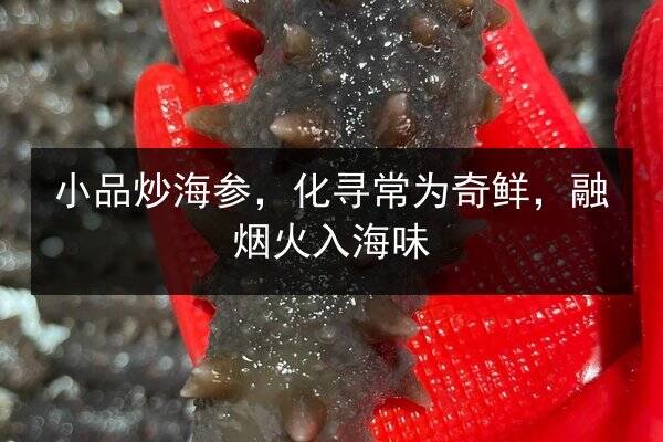 小品炒海参,化寻常为奇鲜,融烟火入海味