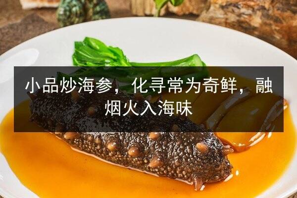 小品炒海参,化寻常为奇鲜,融烟火入海味