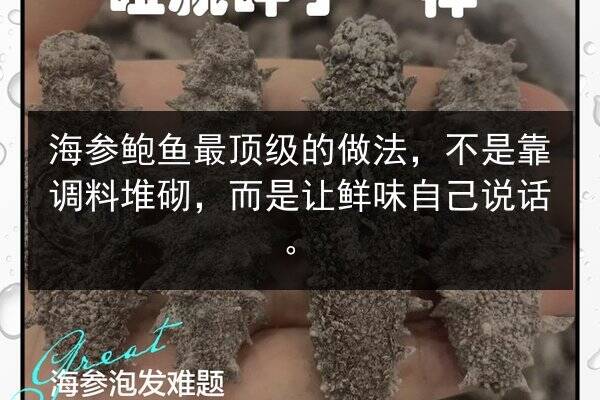 海参鲍鱼最顶级的做法，不是靠调料堆砌，而是让鲜味自己说话。