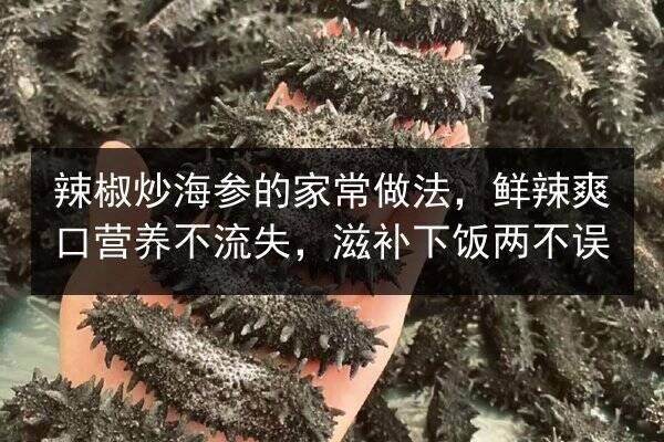 辣椒炒海参的家常做法,鲜辣爽口营养不流失,滋补下饭两不误