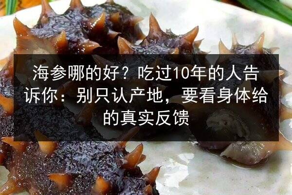 海参哪的好？吃过10年的人告诉你：别只认产地，要看身体给的真实反馈