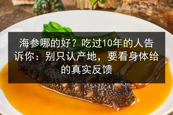 海参哪的好？吃过10年的人告诉你：别只认产地，要看身体给的真实反馈