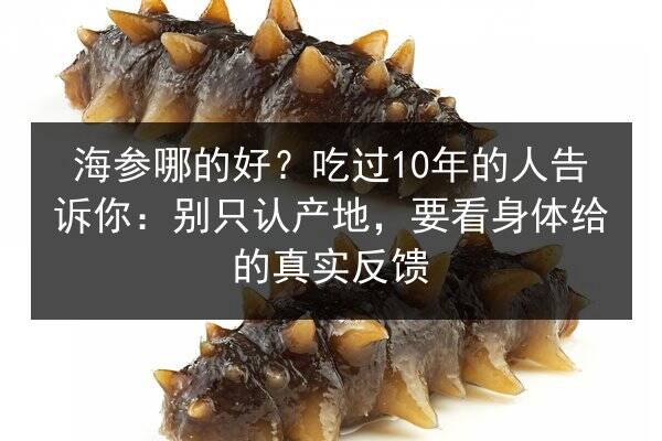 海参哪的好？吃过10年的人告诉你：别只认产地，要看身体给的真实反馈