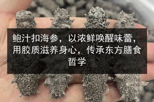 鲍汁扣海参,以浓鲜唤醒味蕾,用胶质滋养身心,传承东方膳食哲学