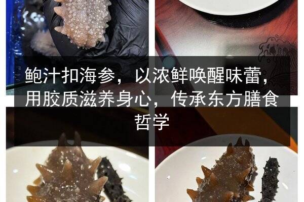 鲍汁扣海参,以浓鲜唤醒味蕾,用胶质滋养身心,传承东方膳食哲学