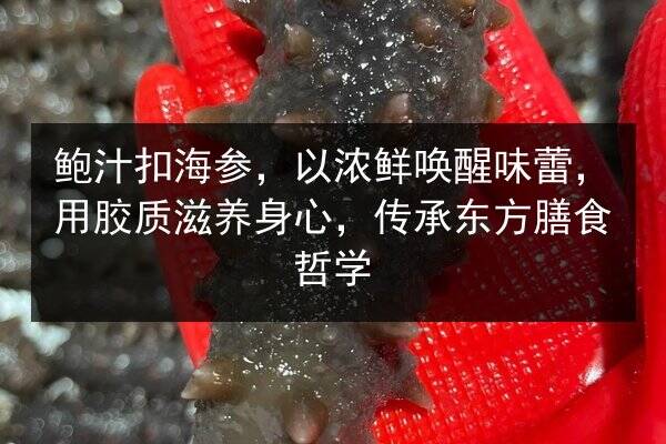鲍汁扣海参,以浓鲜唤醒味蕾,用胶质滋养身心,传承东方膳食哲学