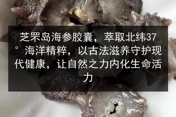 芝罘岛海参胶囊,萃取北纬37°海洋精粹,以古法滋养守护现代健康,让自然之力内化生命活力