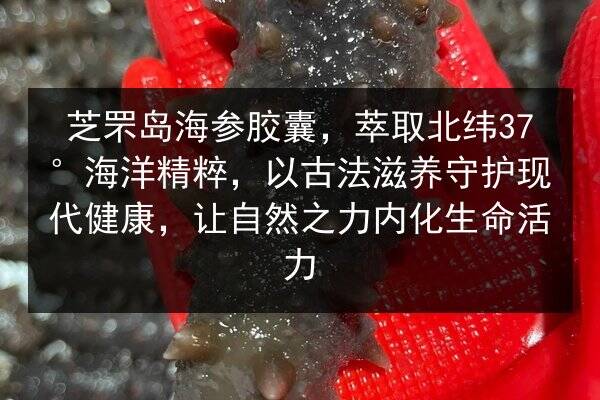 芝罘岛海参胶囊,萃取北纬37°海洋精粹,以古法滋养守护现代健康,让自然之力内化生命活力
