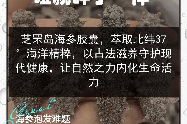 芝罘岛海参胶囊,萃取北纬37°海洋精粹,以古法滋养守护现代健康,让自然之力内化生命活力