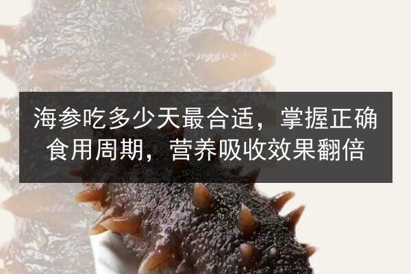 海参吃多少天最合适，掌握正确食用周期，营养吸收效果翻倍