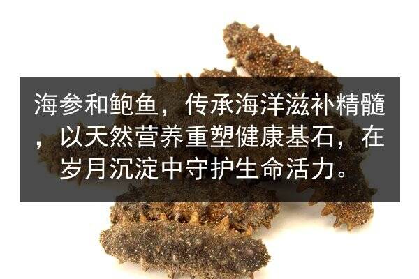 海参和鲍鱼,传承海洋滋补精髓,以天然营养重塑健康基石,在岁月沉淀中守护生命活力。