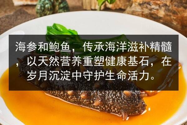 海参和鲍鱼,传承海洋滋补精髓,以天然营养重塑健康基石,在岁月沉淀中守护生命活力。