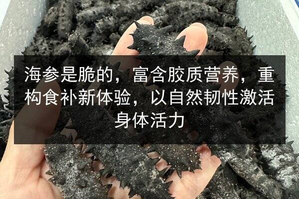 海参是脆的,富含胶质营养,重构食补新体验,以自然韧性激活身体活力