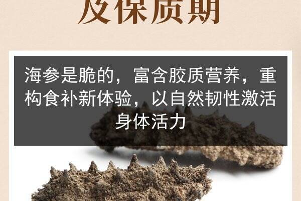 海参是脆的,富含胶质营养,重构食补新体验,以自然韧性激活身体活力