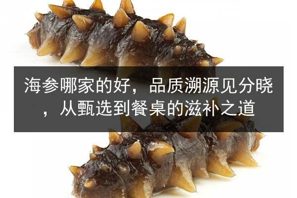 海参哪家的好,品质溯源见分晓,从甄选到餐桌的滋补之道