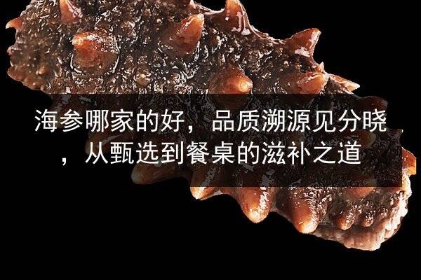 海参哪家的好,品质溯源见分晓,从甄选到餐桌的滋补之道