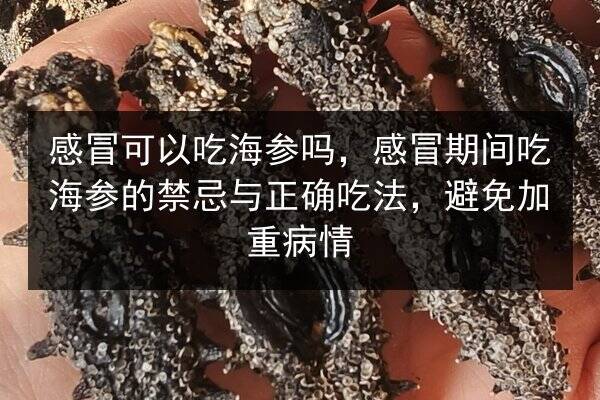 感冒可以吃海参吗，感冒期间吃海参的禁忌与正确吃法，避免加重病情