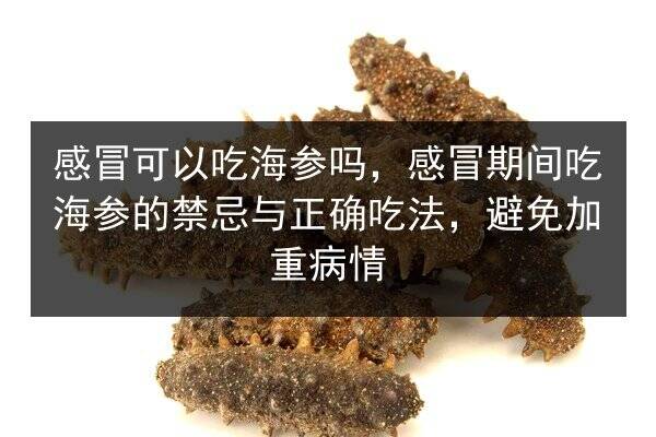 感冒可以吃海参吗，感冒期间吃海参的禁忌与正确吃法，避免加重病情