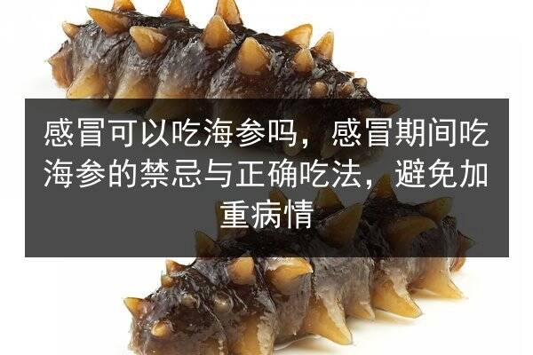 感冒可以吃海参吗，感冒期间吃海参的禁忌与正确吃法，避免加重病情