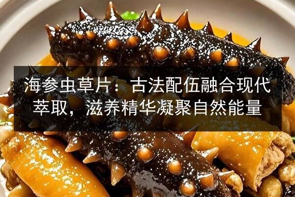海参虫草片：古法配伍融合现代萃取，滋养精华凝聚自然能量