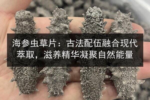 海参虫草片：古法配伍融合现代萃取，滋养精华凝聚自然能量