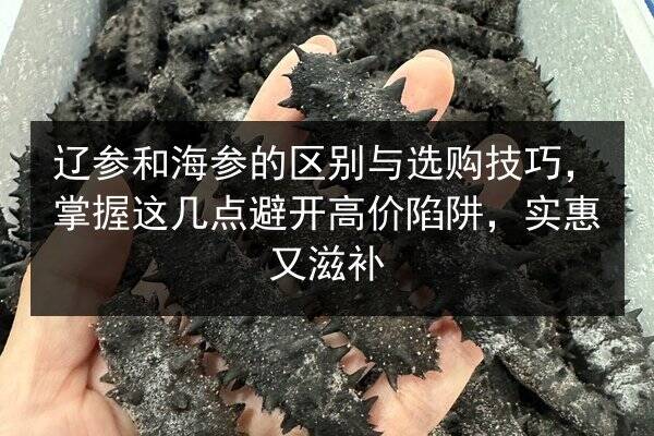 辽参和海参的区别与选购技巧，掌握这几点避开高价陷阱，实惠又滋补