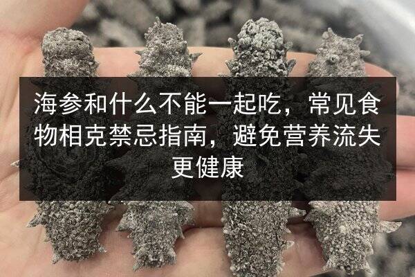 海参和什么不能一起吃,常见食物相克禁忌指南,避免营养流失更健康